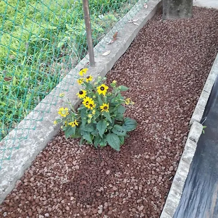 招待所 Ca' Di Burghi